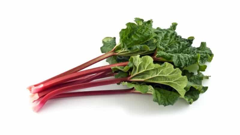 Ensalada con ruibarbo